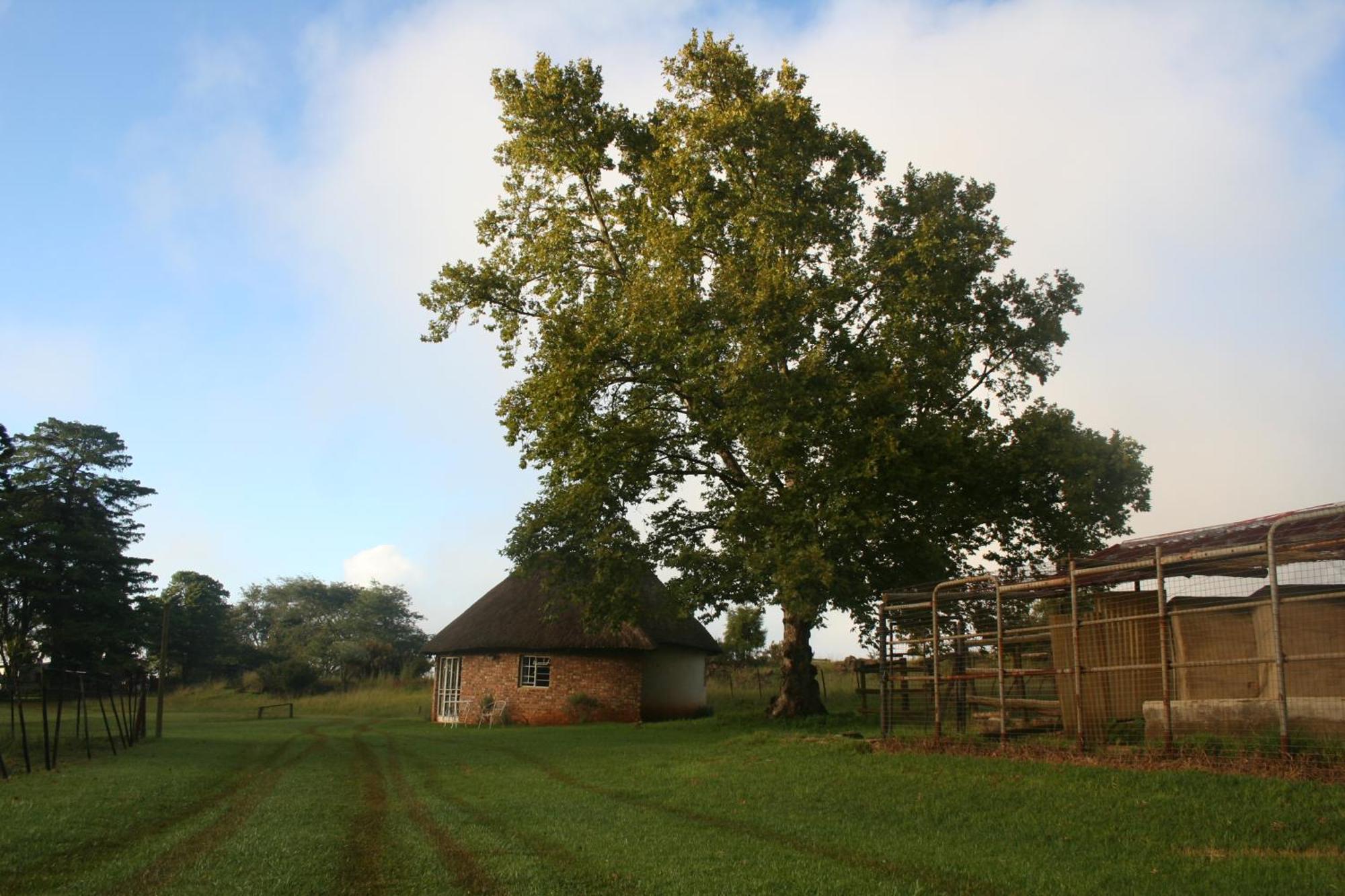 Suikerbosskuur Rondavel & Chalet Amsterdam Dış mekan fotoğraf